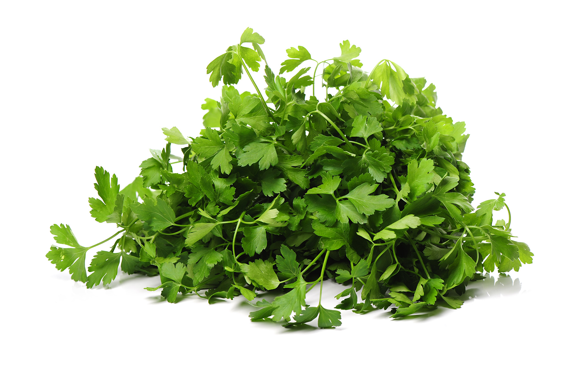 吃九層塔皮膚變黑？ 躲開會越吃越黑的感光食物 - 康橋診所-台中診所推薦