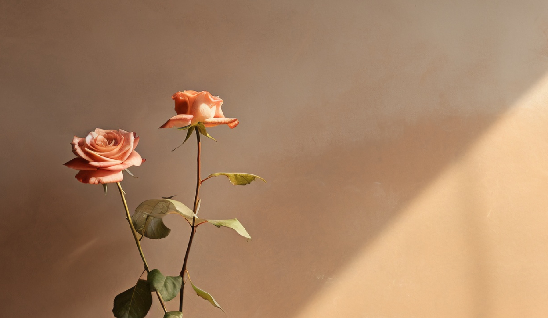 關於微風 - 康橋診所-台中診所推薦