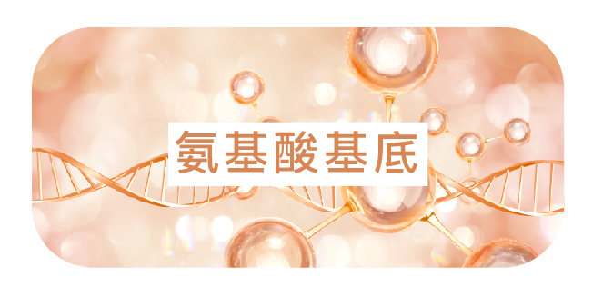 關節健康支持點滴 - 康橋診所-台中診所推薦 五星評論診所 10 關節健康支持點滴 - 康橋診所-台中診所推薦