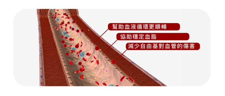 中風風險降低支持點滴 - 康橋診所-台中診所推薦 五星評論診所 7 中風風險降低支持點滴 - 康橋診所-台中診所推薦