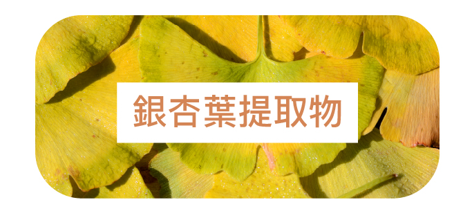 認知功能支持點滴 - 康橋診所-台中診所推薦 五星評論診所 7 認知功能支持點滴 - 康橋診所-台中診所推薦