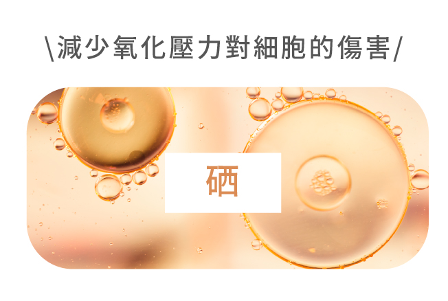 免疫系統支持點滴 - 康橋診所-台中診所推薦 五星評論診所 9 免疫系統支持點滴 - 康橋診所-台中診所推薦