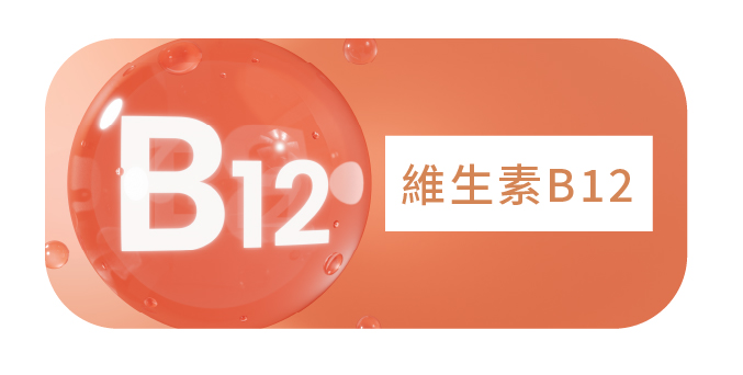認知功能支持點滴 - 康橋診所-台中診所推薦 五星評論診所 6 認知功能支持點滴 - 康橋診所-台中診所推薦