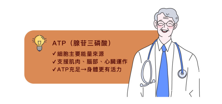 ILIB氦氖靜脈雷射 - 康橋診所-台中診所推薦 五星評論診所 6 ILIB氦氖靜脈雷射 - 康橋診所-台中診所推薦