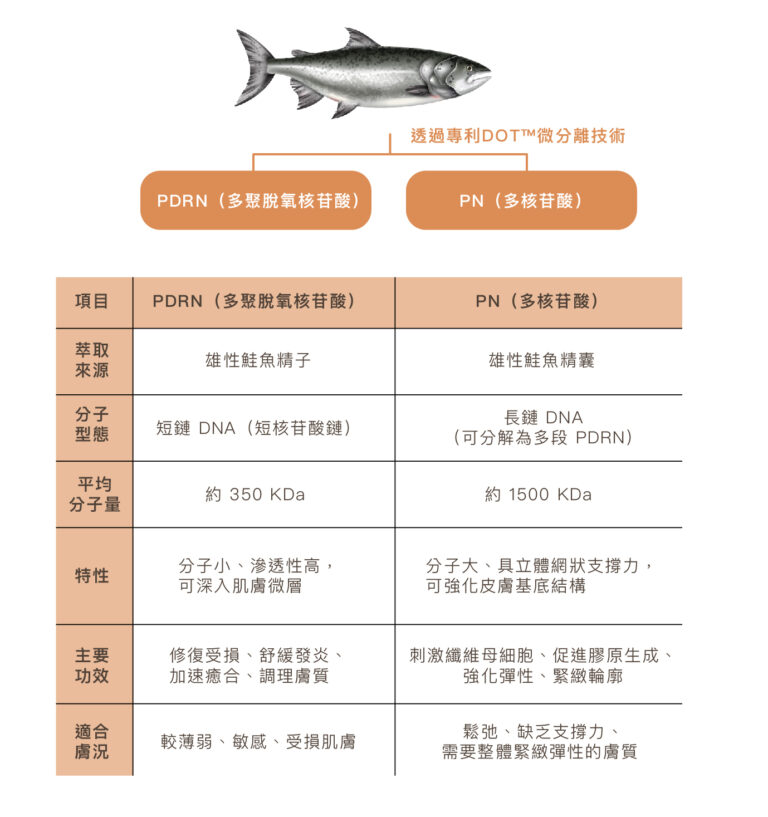 Rejuran麗珠蘭水光 - 康橋診所-台中診所推薦 五星評論診所 4 Rejuran麗珠蘭水光 - 康橋診所-台中診所推薦
