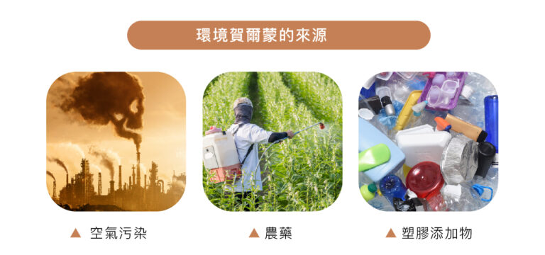 環境荷爾蒙清除支持點滴 - 康橋診所-台中診所推薦 五星評論診所 5 環境荷爾蒙清除支持點滴 - 康橋診所-台中診所推薦