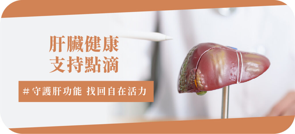 肝臟健康_工作區域 1