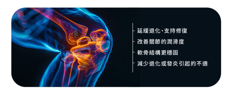 關節健康支持點滴 - 康橋診所-台中診所推薦 五星評論診所 5 關節健康支持點滴 - 康橋診所-台中診所推薦
