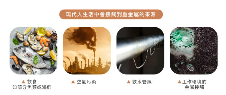 體內重金屬清除支持點滴 - 康橋診所-台中診所推薦 五星評論診所 5 體內重金屬清除支持點滴 - 康橋診所-台中診所推薦